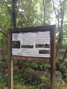 Abandono total da Illa 2 por parte do Concello