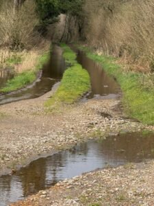 Pistas da Pereira abandoadas