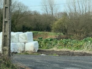 Sr Alcalde onde esta o proxecto e a licitación desta obra na Pereira