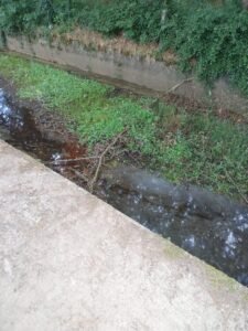 Dende Avanza Santa Comba denunciamos o estado de abandono da Área Recreativa das Medroñas