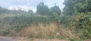 Ser reclama unha actuación urxente para limpar a contorna da casa reitoral